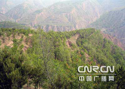 ��(j��ng)�^ˮ����ʧ�������Rɏ������