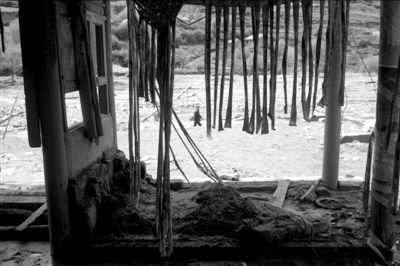 �貺�(zh��n)�߰�����񼾴�ƽ�����Ŀ����ڴ˴Ξ�(z��i)�������y�����ݱ�����ֻ�м���ƽ��������^һ�١� ����zӰ����ӛ�������