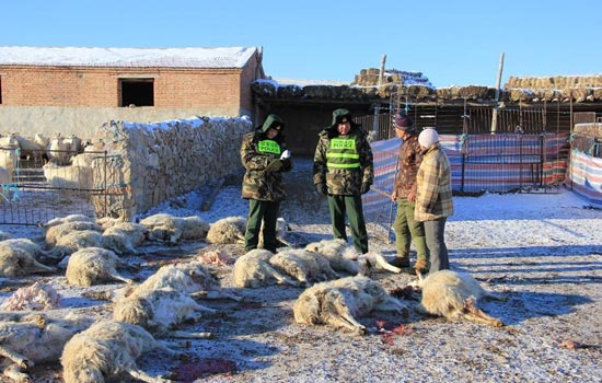 ����߅�����ڰ��͸��켪�ո��ɈD�²�����ҵ����u�F(xi��n)�����P���