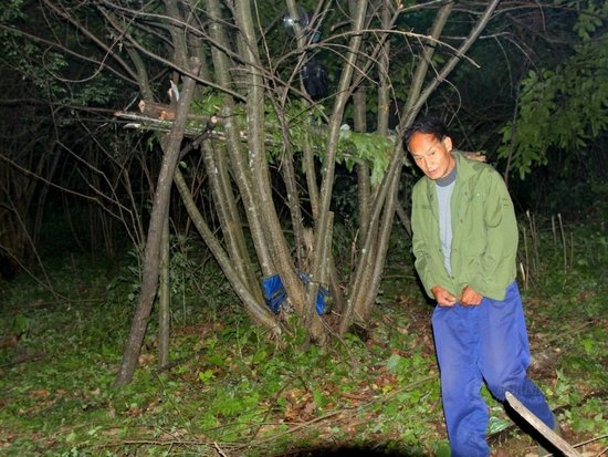 ���������z1���^�m(x��)���A�ϻ� ҹ��ɽ���Ԙ�鴲