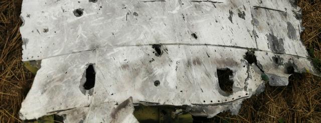 MH17���Ή������w�C(j��)�����ṩ����