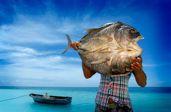 2013��7��������ʡ��ɳ�������u����һλ�O�����N���~�������M�DƬ���� �·���(qi��ng)/�����Ո� �D