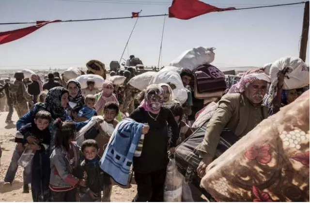 ��ý�����W��Ӣ�`��(d��o)�������(d��ng)ʎ֮Դ