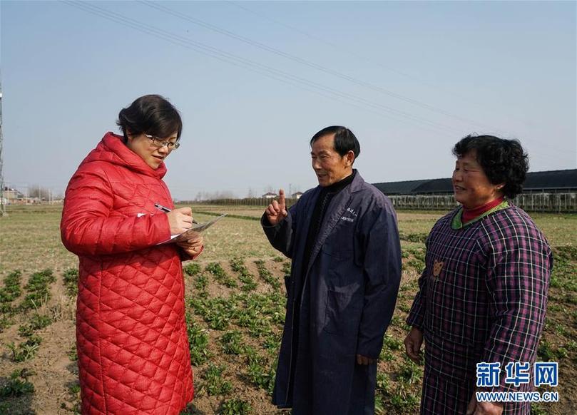 ���ɕ�ǰϦ���䌍(sh��)���D�Ļ��ӣ���2���Gɫ�l(f��)չ���I(l��ng) ���o(h��)���~��֮�l(xi��ng)���������K�䌍(sh��)��(x��)��ƽ����ӛȫ���ɕ���Ҫ�vԒ����o(j��)��(sh��)