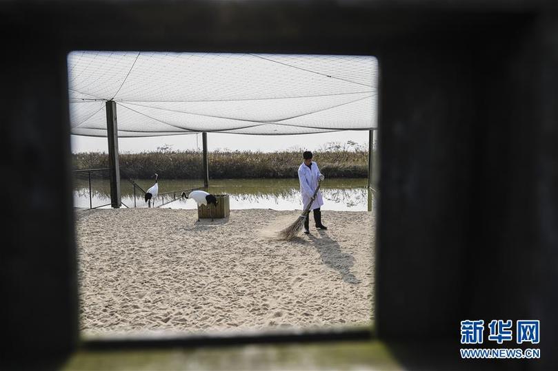 ���ɕ�ǰϦ���䌍(sh��)���D�Ļ��ӣ���3���Gɫ�l(f��)չ���I(l��ng) ���o(h��)���~��֮�l(xi��ng)���������K�䌍(sh��)��(x��)��ƽ����ӛȫ���ɕ���Ҫ�vԒ����o(j��)��(sh��)