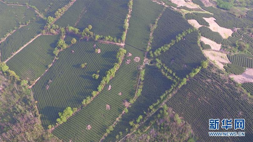 ���ɕ�ǰϦ���䌍(sh��)���D�Ļ��ӣ���9���Gɫ�l(f��)չ���I(l��ng) ���o(h��)���~��֮�l(xi��ng)���������K�䌍(sh��)��(x��)��ƽ����ӛȫ���ɕ���Ҫ�vԒ����o(j��)��(sh��)