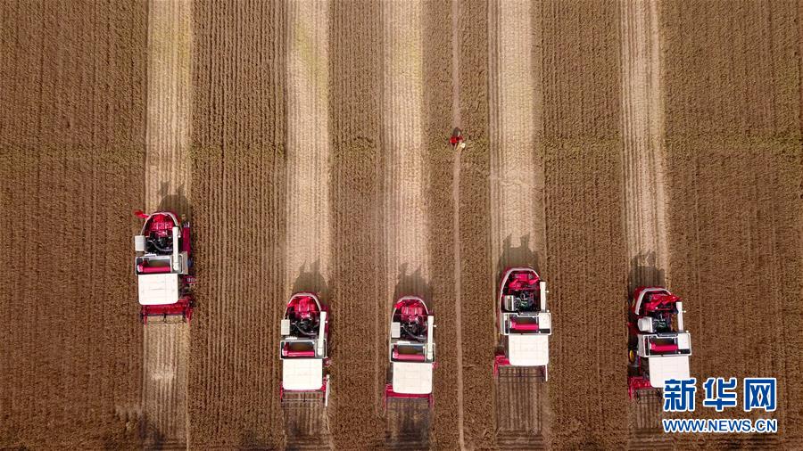 �����Aȫý�^�l���D�Ļ���(d��ng)����3�����A���u(p��ng)Փ�T����Zȡȫ�潨��С�����(hu��)����������^������һՓ؞���䌍(sh��)���뽛(j��ng)��(j��)������(hu��)�h����