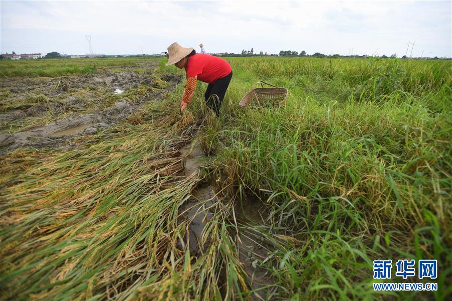 �����Aȫý�^�l���D�Ļ���(d��ng)����13����������Ⱥ������ؔ(c��i)�a(ch��n)��ȫ�����۽��P(gu��n)�I�r(sh��)��ȫ����Ѵ���鹤��